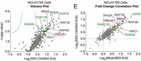 Splice switching an oncogenic ratio of SmgGDS isoforms as a strategy to diminish malignancy