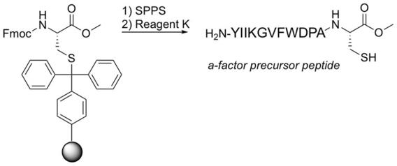 Synthesis and NMR Characterization of the Prenylated Peptide, a-Factor